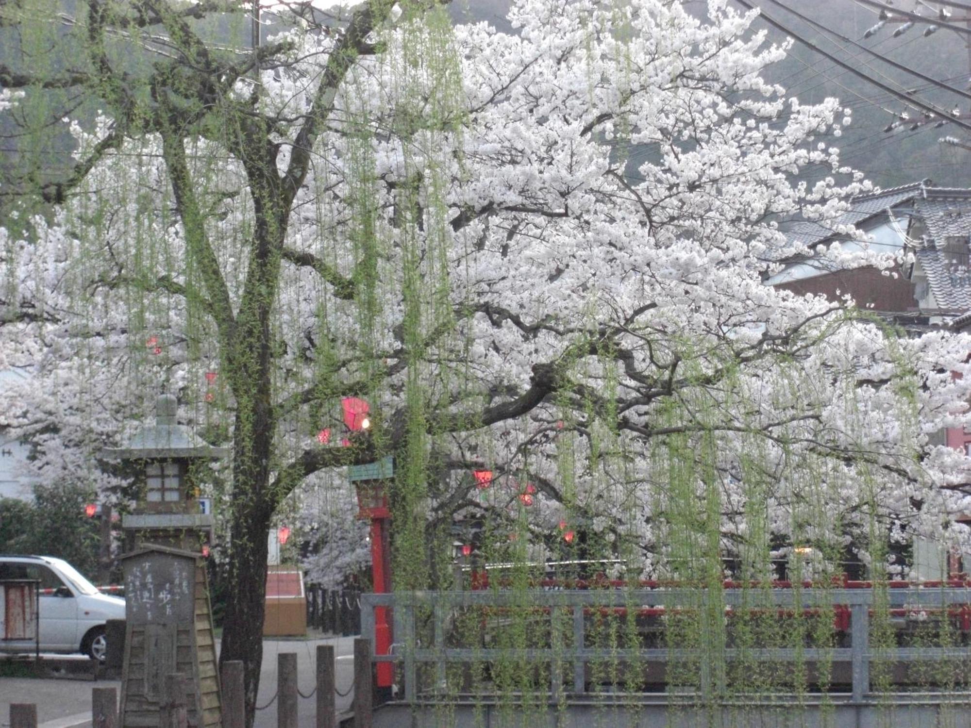 丰冈市 松屋日式旅馆酒店 外观 照片